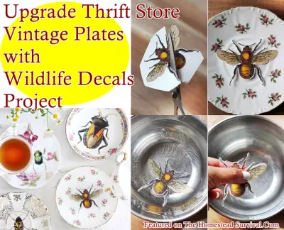 Upgrade Thrift Store Vintage Plates with Wildlife Decals Project