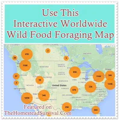 Use This Interactive Worldwide Wild Food Foraging Map