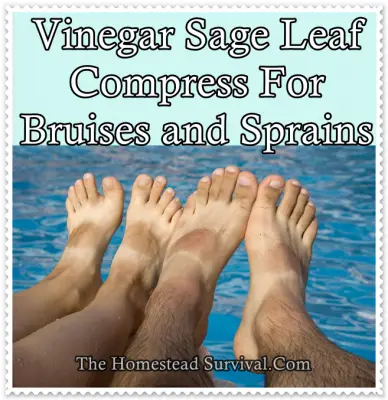 Vinegar Sage Leaf Compress For Bruises and Sprains