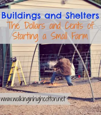 Dollars and Cents of Starting a Homestead and Buildings Shelters