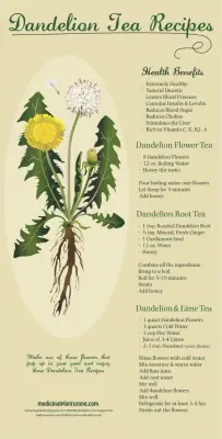 3 Delicious Dandelion Tea Recipes