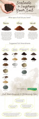 Evaluating and Improving Garden Soil