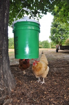 12 Dollar DIY Closed For Cleanliness Chicken Waterer