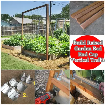 Build Raised Garden Bed End Cap Vertical Trellis