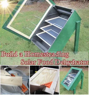 Build a Homesteading Solar Food Dehydrator