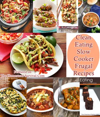 Clean Eating Slow Cooker Frugal Recipes