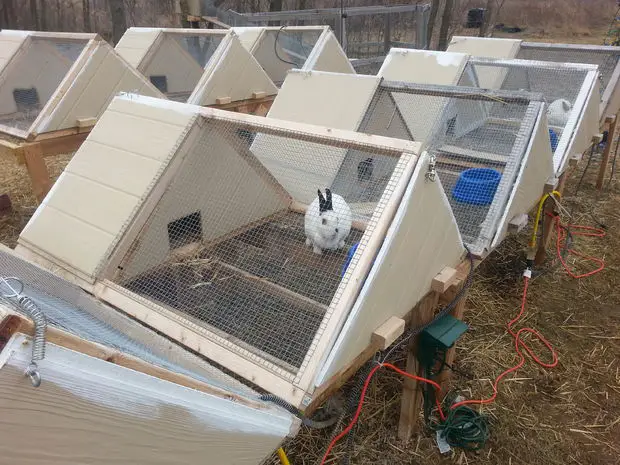 How To Build A Frame Rabbit Hutches