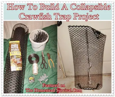 How To Build A Collapsible Crawfish Trap Project