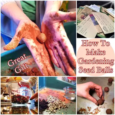 How To Make Gardening Seed Balls