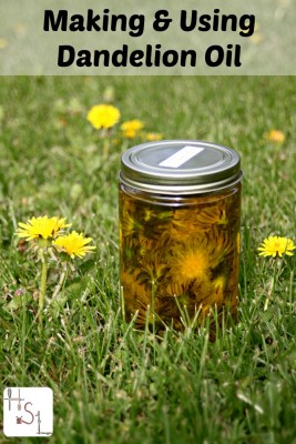 Making Dandelion Oil for Arthritis and Joint Pain Relief