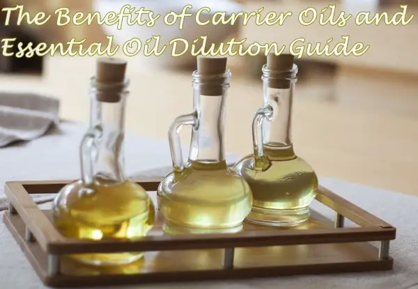 The Benefits of Carrier Oils and Essential Oil Dilution Guide