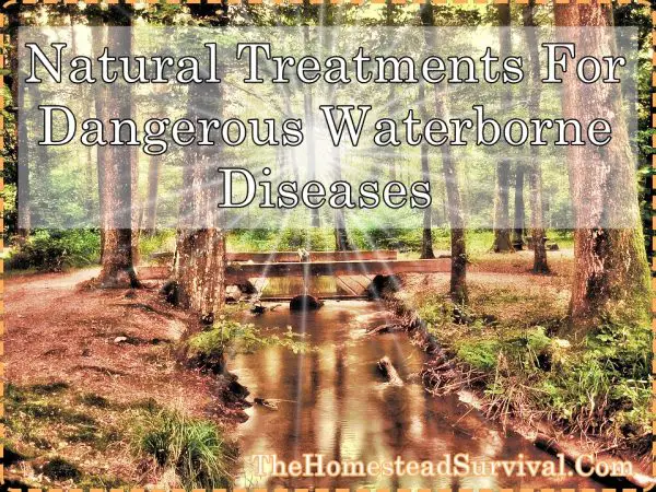 Natural Treatments For Waterborne Diseases