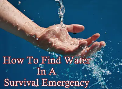 How To Find Water In A Survival Emergency