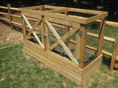 How to Build a Deer Proof Raised Garden Beds