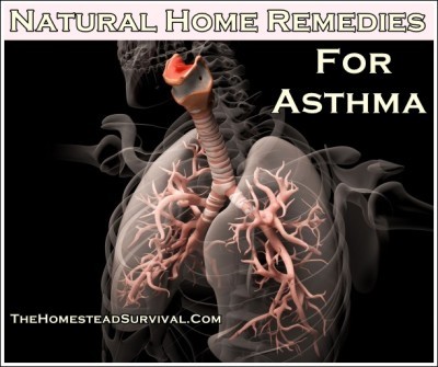 Natural Home Remedies For Asthma