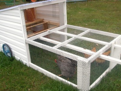 How to Build a Mobile Homesteading Chicken Tractor 
