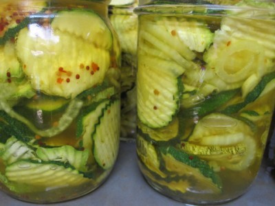 Sweet and Spicy Homesteading Zucchini Pickles