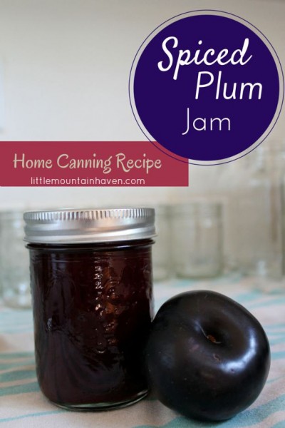 Canned Spiced Plum Jam