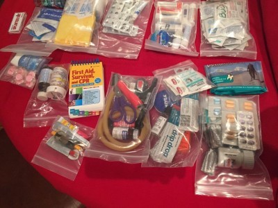 Ultimate Travel Medicine Kit 