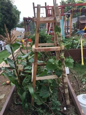 Make a Garden Trellis from a Recycled Wood 