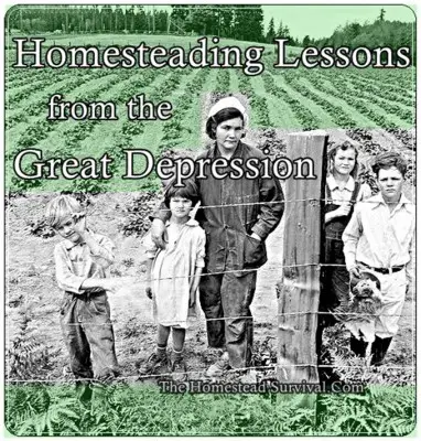 Homesteading Lessons from the Great Depression