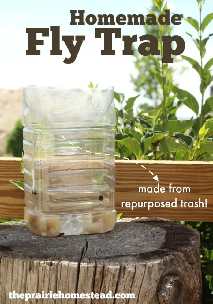 Homemade Fly Trap from Re Purposed Trash