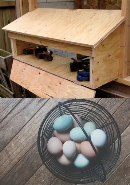 How to Build External Nesting Boxes for a Chicken Coop