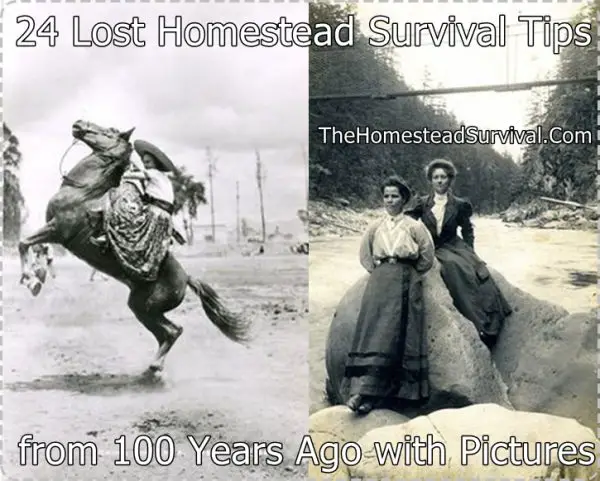 24 Lost Homestead Survival Tips from 100 Years Ago with Pictures
