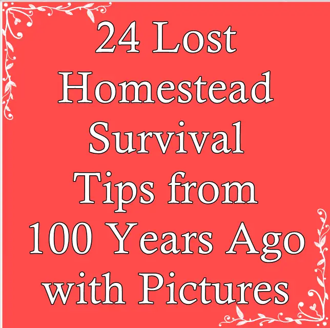 24 Lost Homestead Survival Tips from 100 Years Ago with Pictures