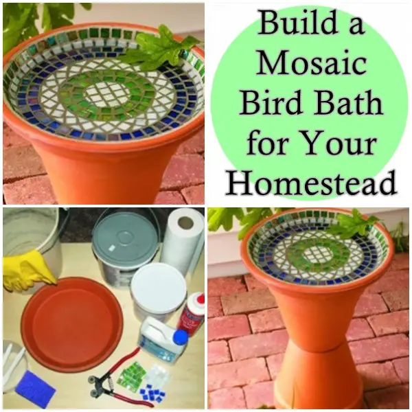Build a Mosaic Bird Bath for Your Homestead
