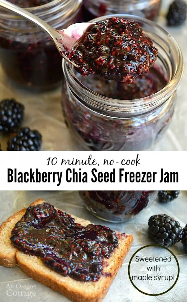 Blackberry Chia Seed Freezer Jam Recipe