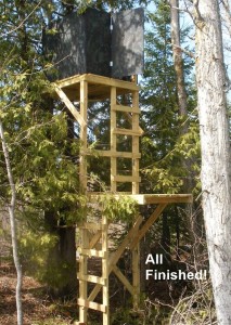 Build Your Own Tree Stand Free Plans