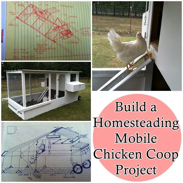 Build a Homesteading Mobile Chicken Coop Project