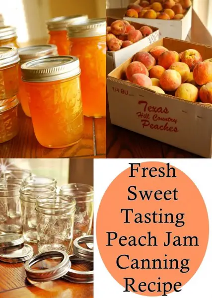 Fresh Sweet Tasting Peach Jam Canning Recipe