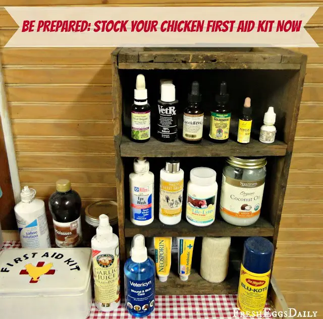 Stocking a Homestead Chicken Flock First Aid Kit