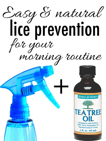 http://www.babble.com/babble-voices/morning-routine-magic-easy-and-natural-lice-prevention-with-tea-tree-oil/
