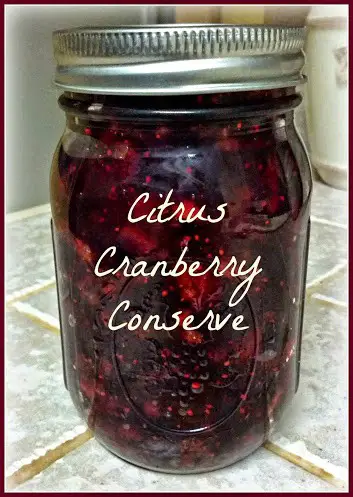 Can Some Cranberry Orange Conserve