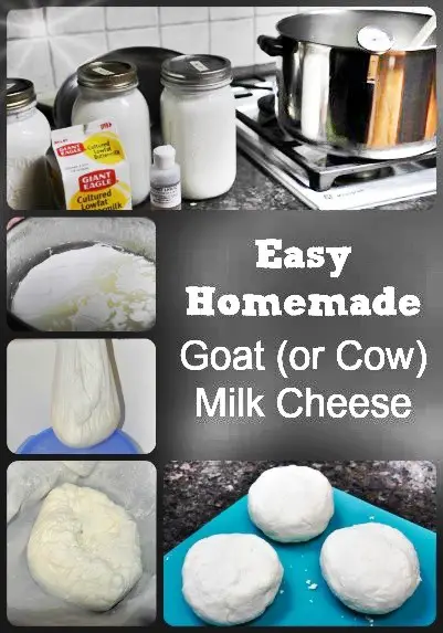 How to Make Easy Homemade Cheese Recipe