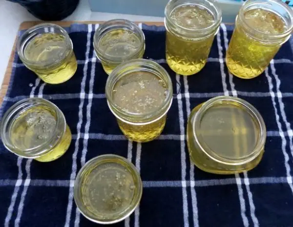 Water Bath Canning Lemon Honey Jelly Recipe