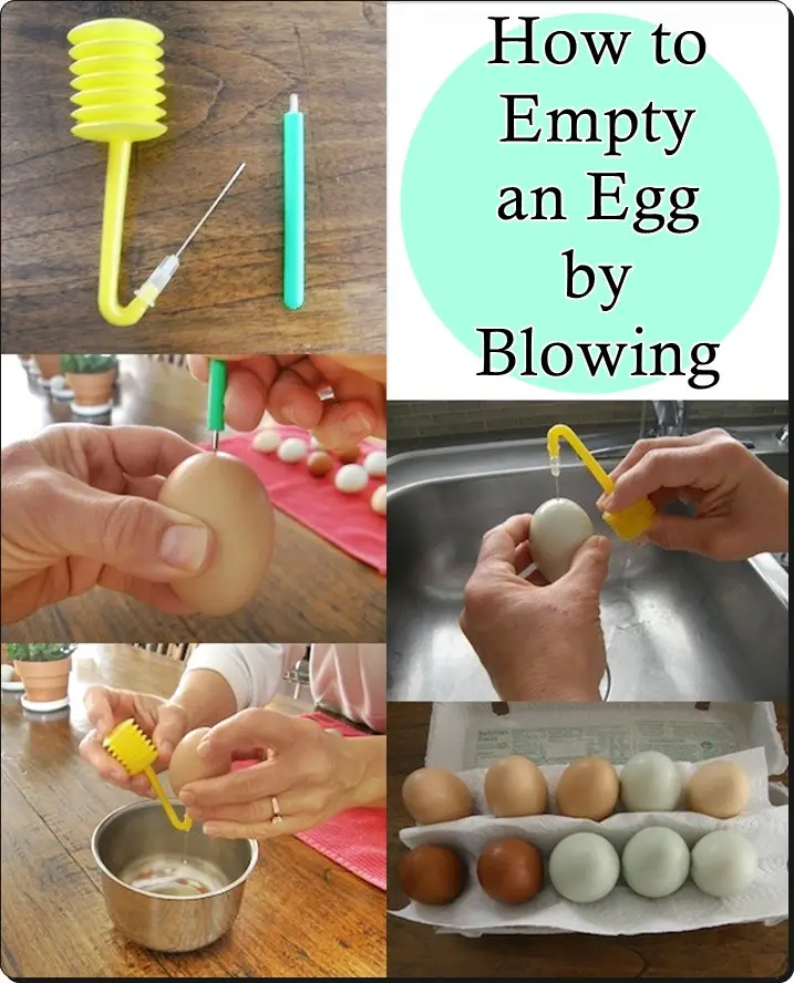 How to Empty an Egg by Blowing