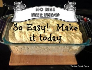 Stir And Bake Beer Bread