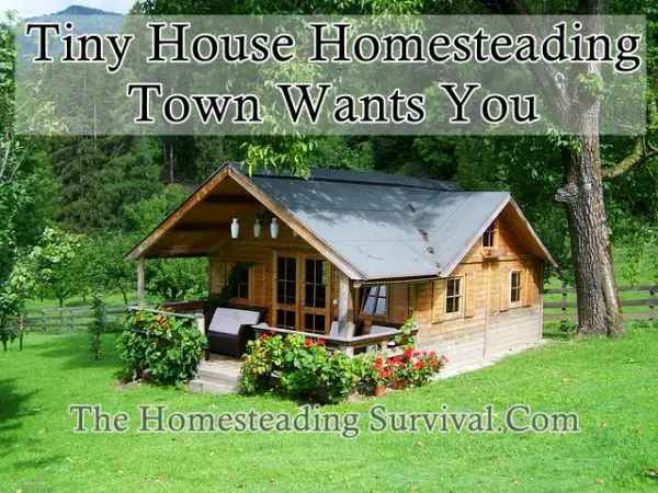 Tiny House Homesteading Town Wants You 