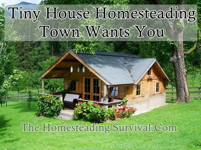 Tiny House Homesteading Town Wants You