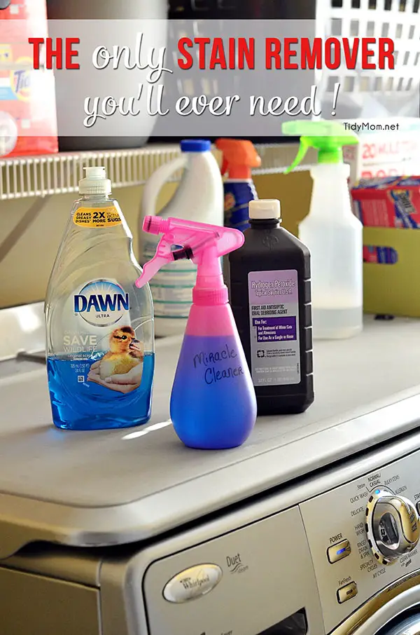 Homemade Miracle Clothing Stain Remover Spray