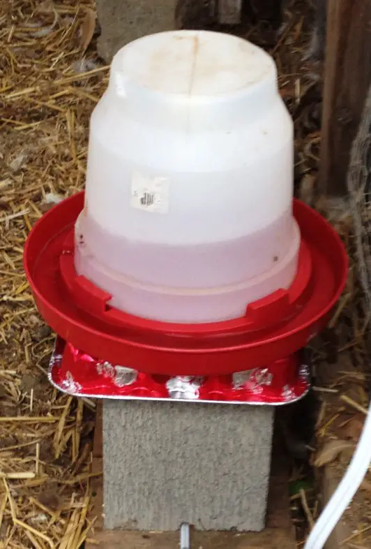 Build a Homesteading Water Heater for a Chicken Coop