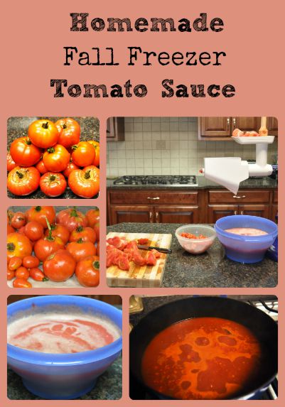 Homemade Freezer Tomato Sauce Recipe