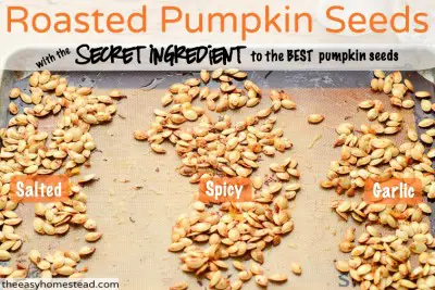 How to Roast Pumpkin Seeds in 3 Delicious Flavors