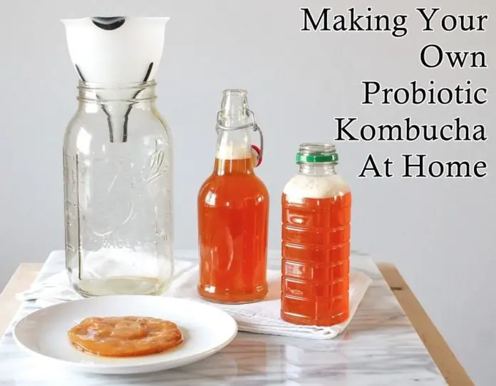 Making Your Own Probiotic Kombucha At Home