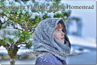 Surviving Frostbite on the Homestead