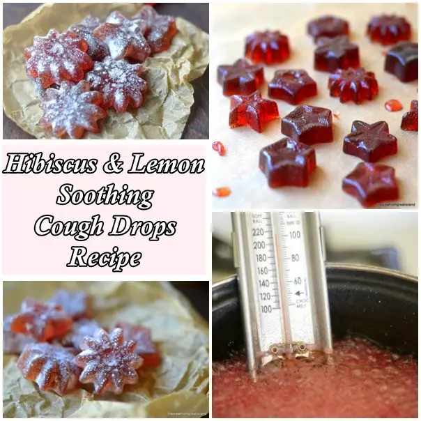 Hibiscus and Lemon Soothing Cough Drops Recipe